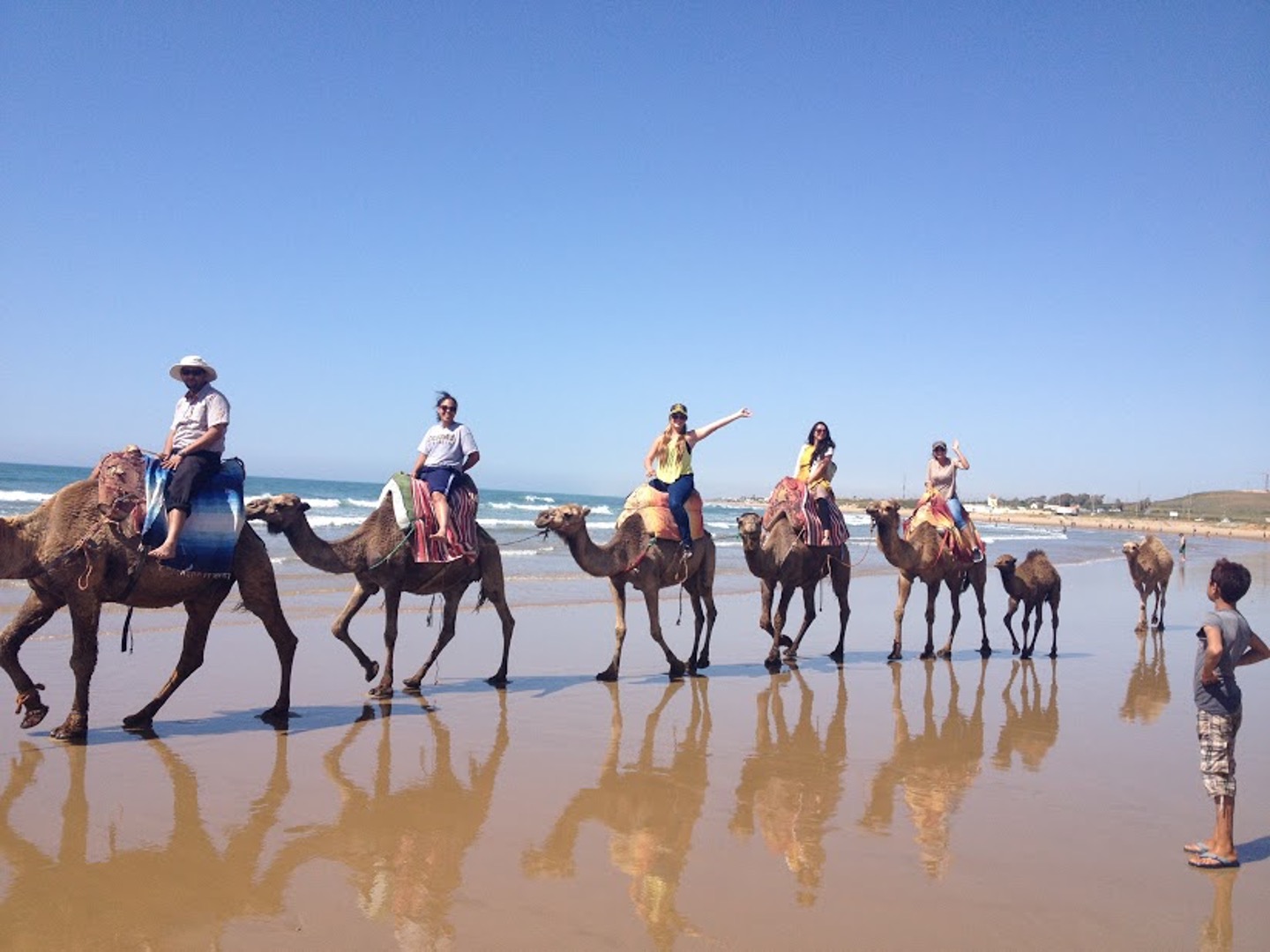 Dr. Bachkar and students on camels during a trip to Morocco