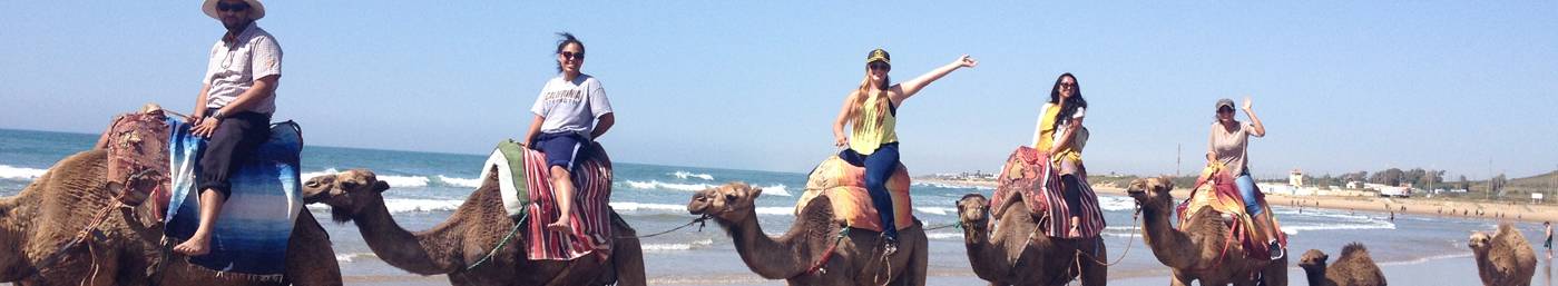 Riding camels during International Experience
