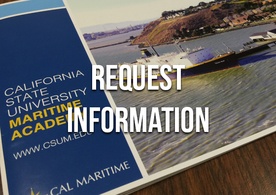 Request more information