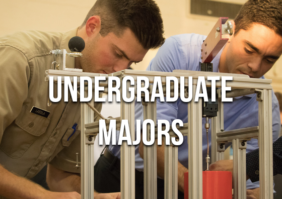 Undergraduate majors