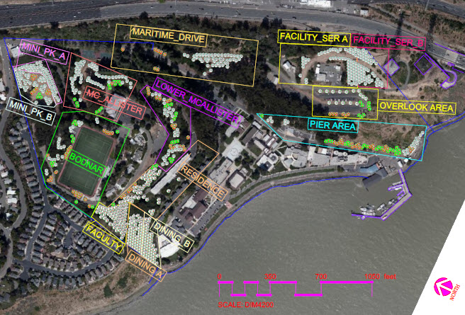 Campus reforestation map