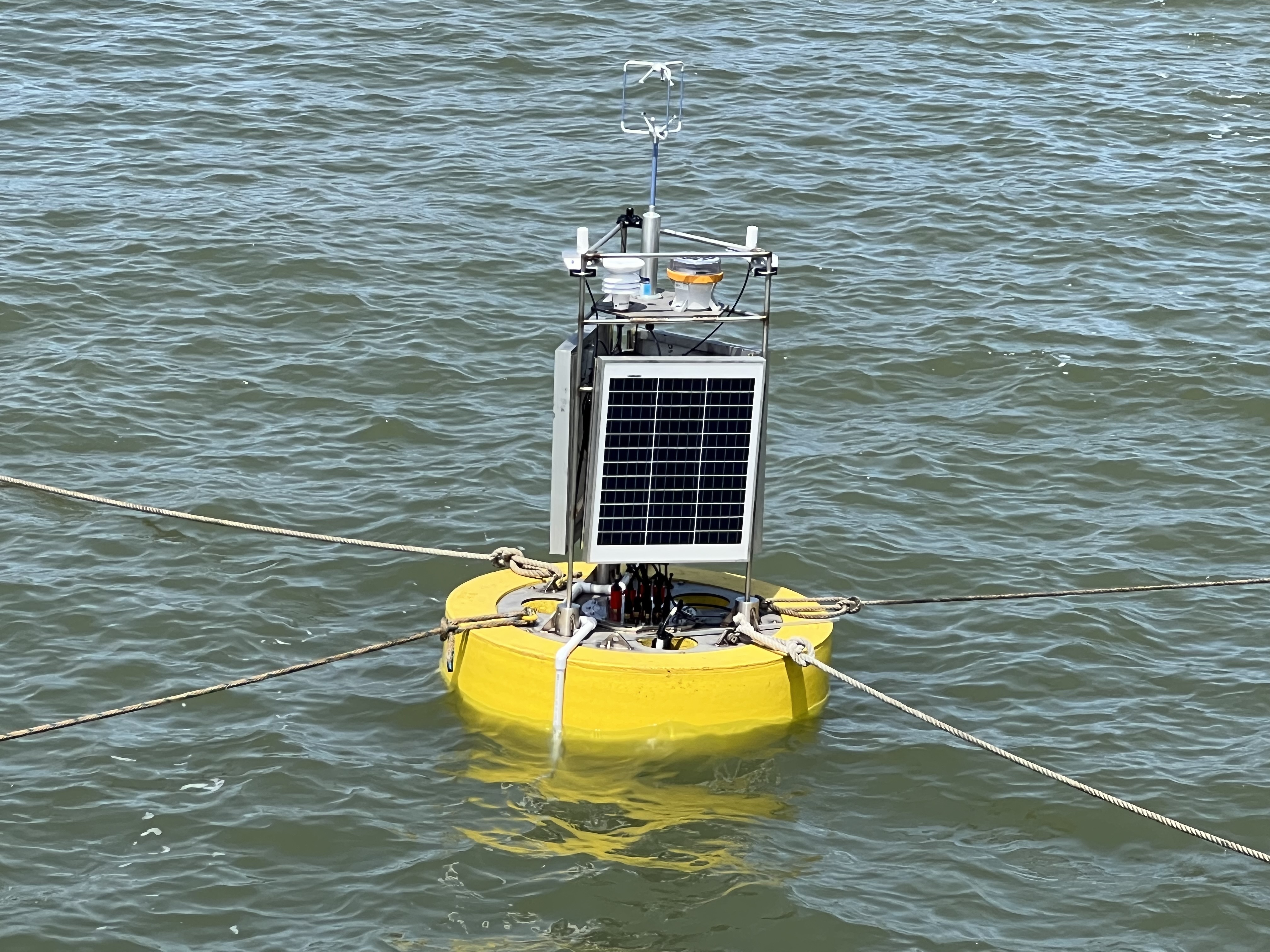 Cal Maritime’s ocean observing buoy deployed in San Pablo Bay for a float test during May 2023.  The buoy was designed and fabricated in partnership between mechanical engineering and oceanography faculty and cadets.