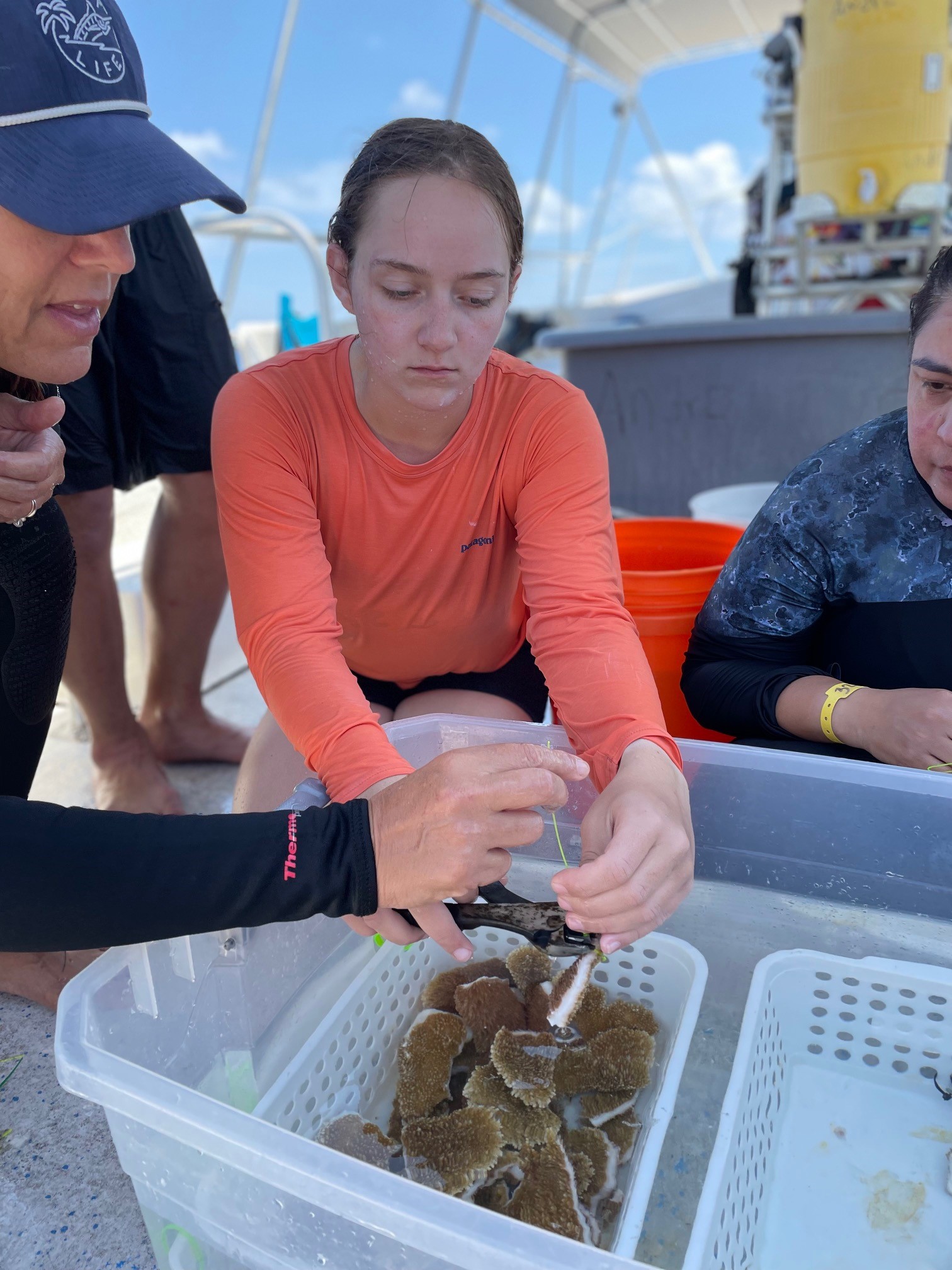 cadet hanging coral