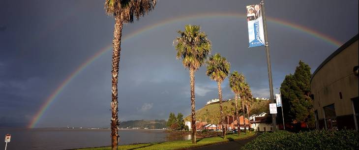 campus rainbow