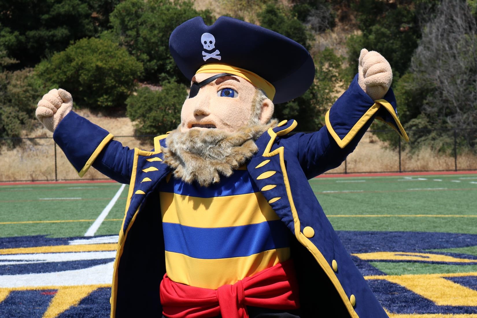 Golden Beard Mascot