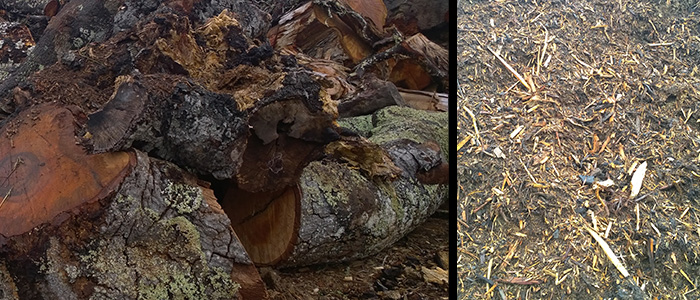 Woodwaste and tree removal graphic