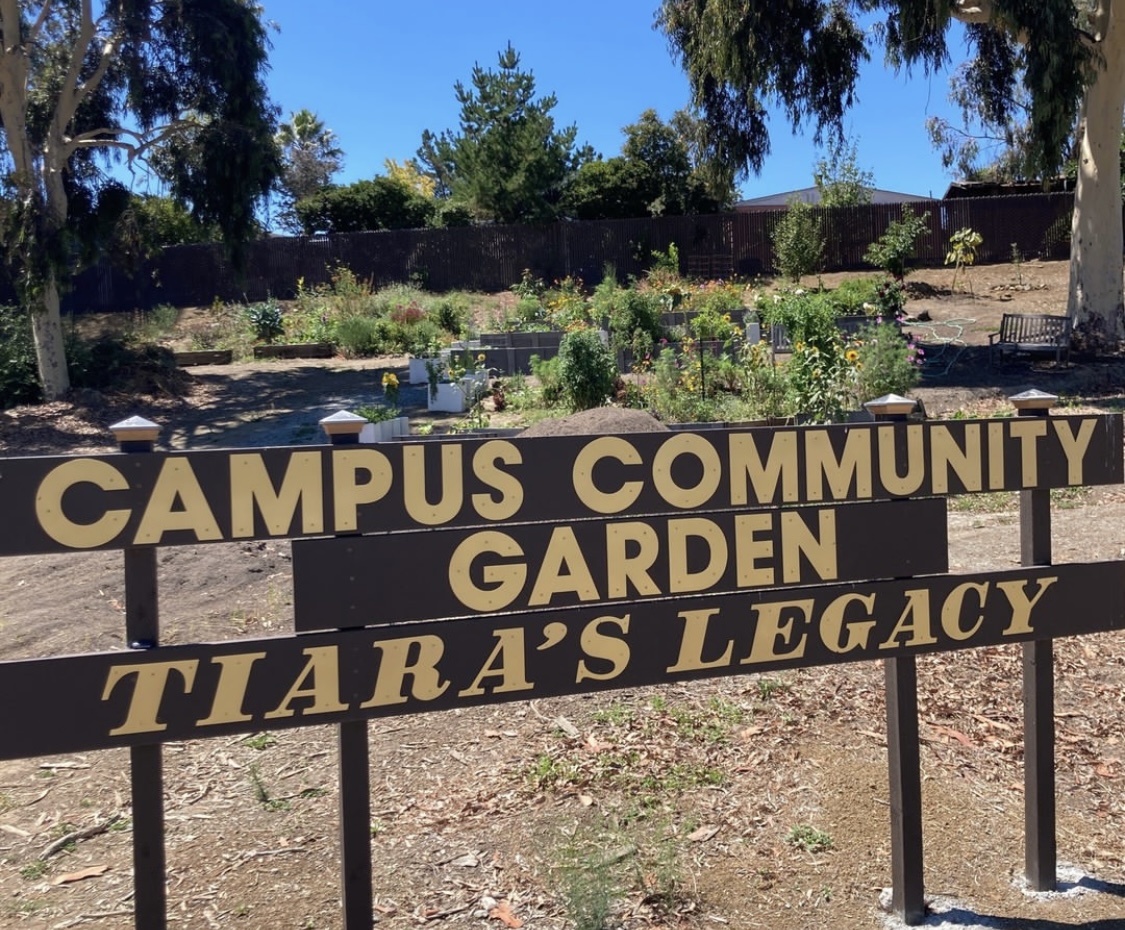 Tiara's Community Garden, Tiara's Legacy